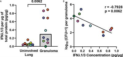 Macrophages and neutrophils express IFNλs in granulomas from Mycobacterium tuberculosis-infected nonhuman primates